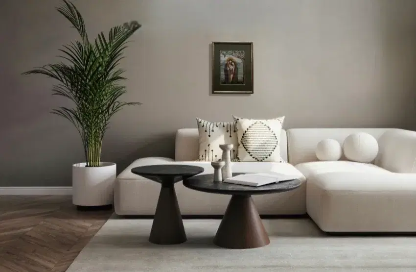 გაზაფხულის შობა view 9