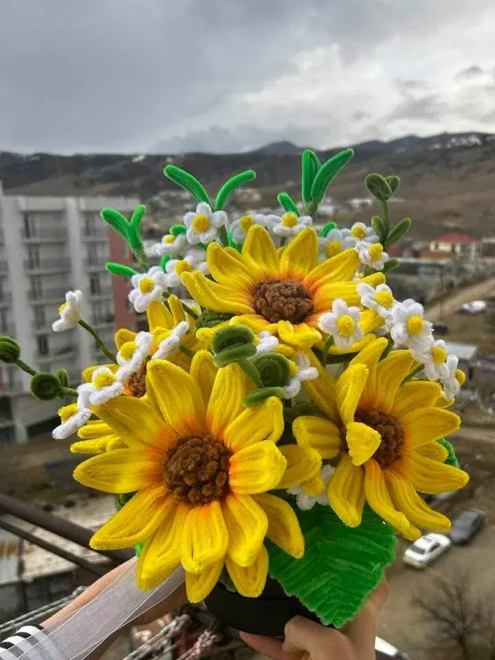 მზესუმზირები გვირილებში