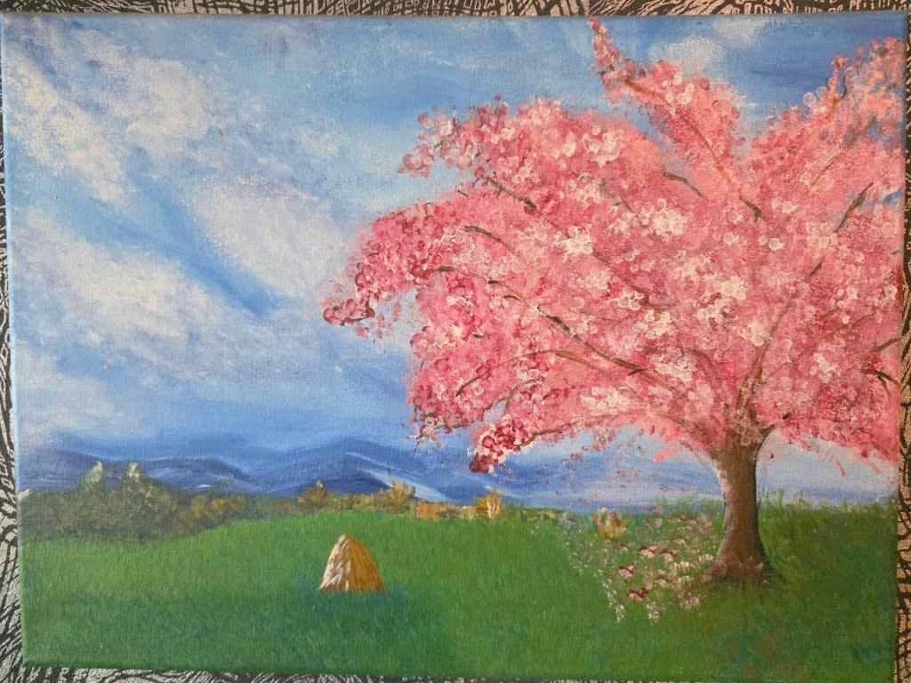 სოფელი view 2