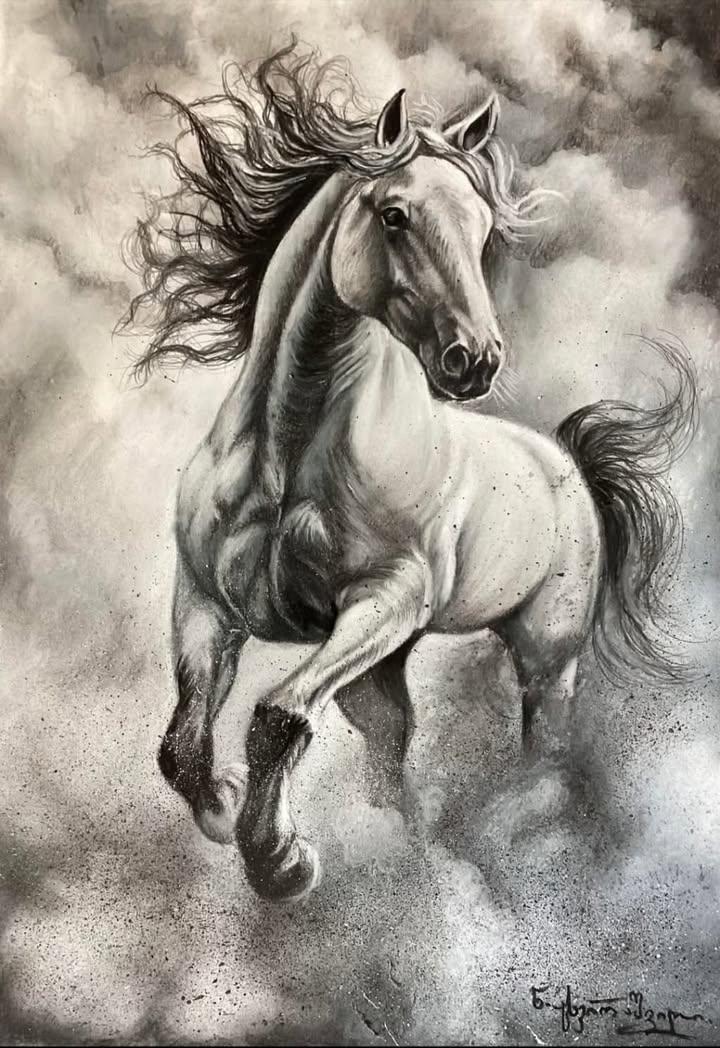 ცხენი